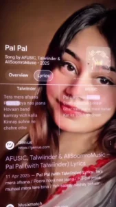 Pal Pal CapCut Template